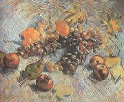 Vincent Van Gogh Still life with Grapes,Apples,Pear and Lemons (nn040 oil painting on canvas